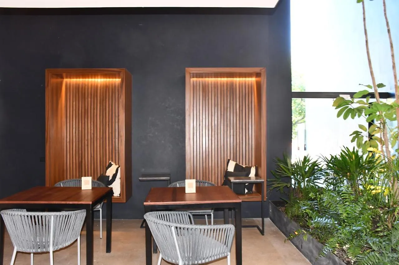 Ceren Luxury Apartments At Fifth Avenue By Spot Rentals Playa del Carmen Mexico
